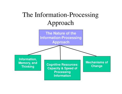 Image result for Information Processing Explained