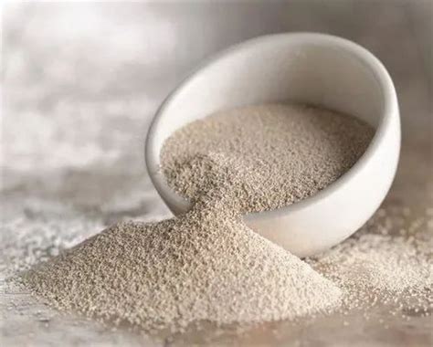 Veterinary & Animal Feed Ingredients - Dried Inactive Yeast ...