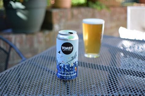 The Best Non-Alcoholic Beers & Alcohol-Free Lagers in 2023