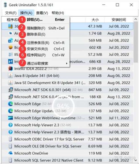 Remove Software Manager 的图像结果