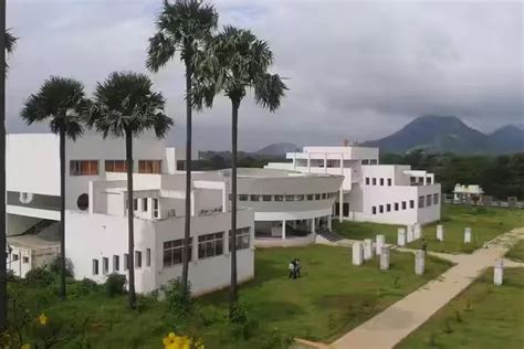SAN International Business School Placements: Average & Highest Package ...