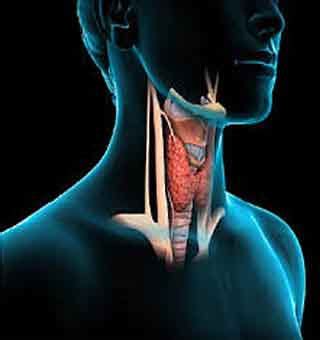 Best Ayurvedic Doctor for Best Ayurvedic Treatment for AVN, Best ...