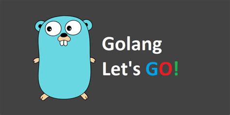 Image result for Go API