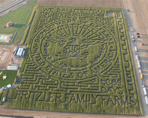 Corn Maze 的图像结果