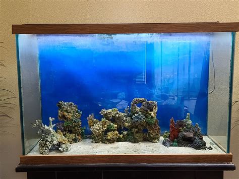 100 Gallon Fish Aquarium Show Tank | Stand | LED Lights | Decors, ETC for Sale in Chino Hills ...