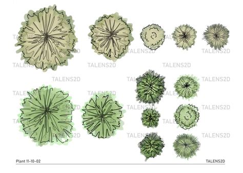 Buy Landscape Architecture Plants: Hand-painted Top View Symbols (PNG ...