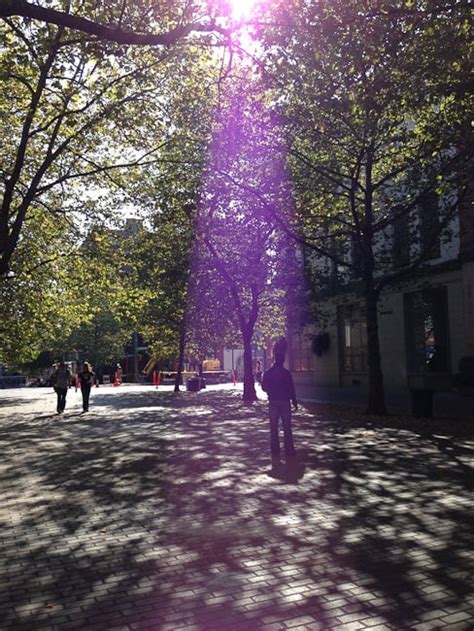 Image result for iPhone 5 Camera Tutorial