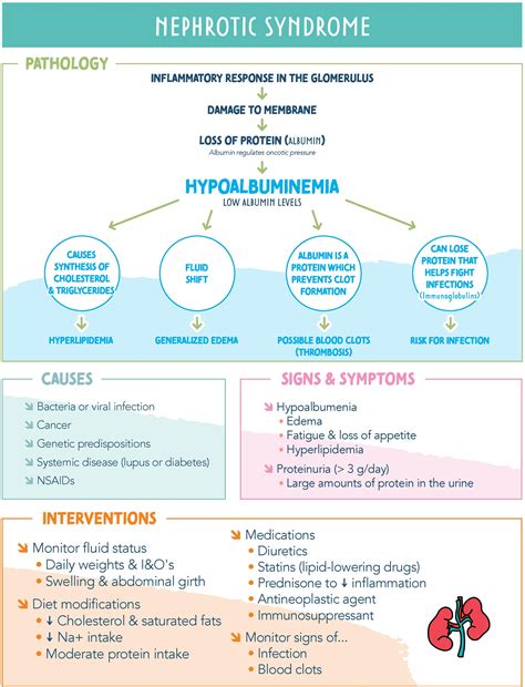 Top Causes Of Nephrotic Syndrome To Know