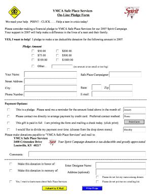 Fillable Online ymcalouisville YMCA Safe Place Services On-Line Pledge ...