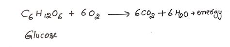 Glucose+oxygen=carbon dioxide+water+energy equation - Brainly.in