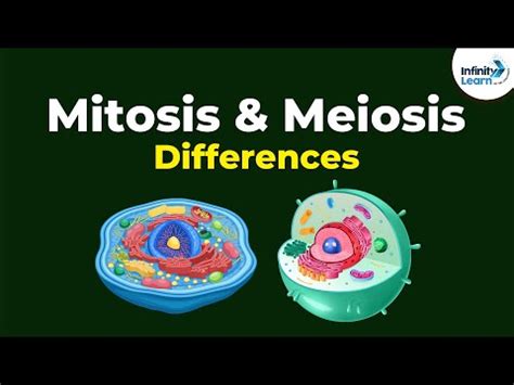 Mitosis Vs Meiosis Video Lecture - Zoology Optional Notes for UPSC