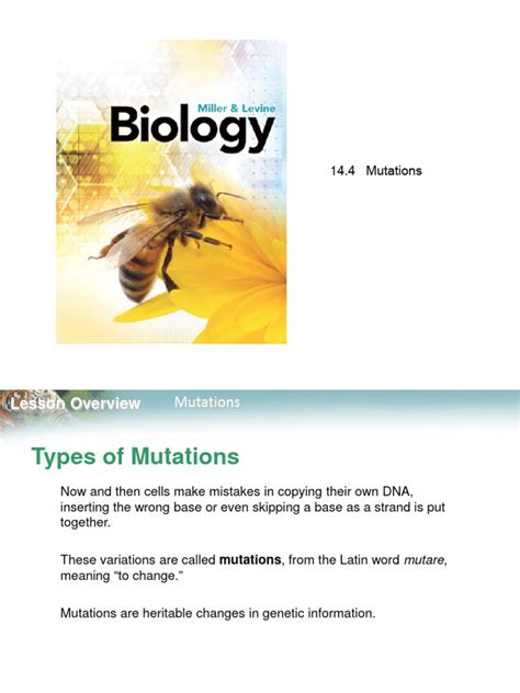 Image result for Mutation Bio