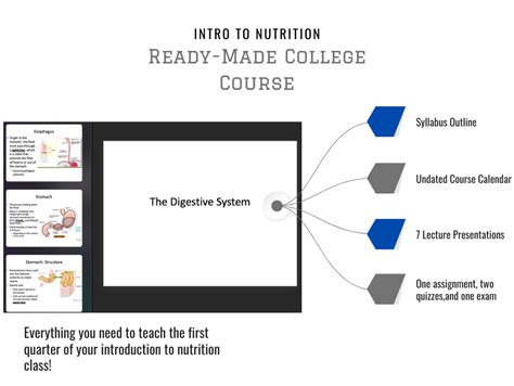 Course Overview Sample 的图像结果