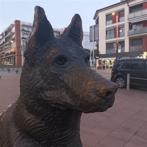 LA LOBA DE CALELLA: Tutto quello che c'è da sapere (AGGIORNATO 2024) - Tripadvisor
