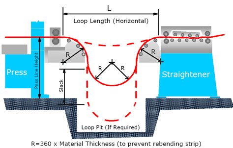 Image result for D-loop Length