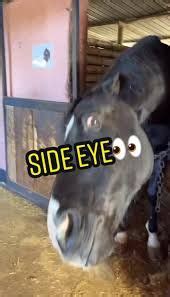 Jealousy Reaction - Memes - Worst Jokes Ever