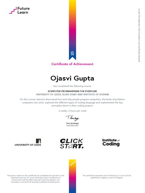 Computer Programming Certification 的图像结果