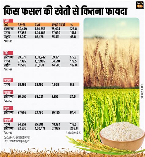 Crop Diversification: धान-गेहूं की खेती कैसे छोड़ेंगे क‍िसान, आख‍िर फसल ...