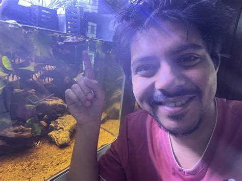 Box Turtle Predators 的图像结果