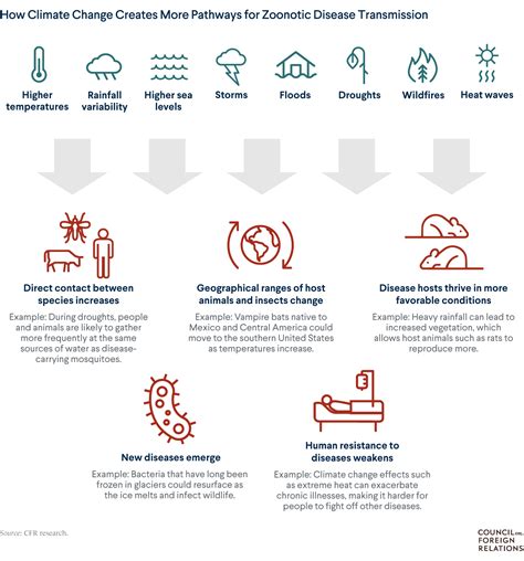 Perilous Pathogens: How Climate Change Is Increasing the Threat of Diseases | Council on Foreign ...
