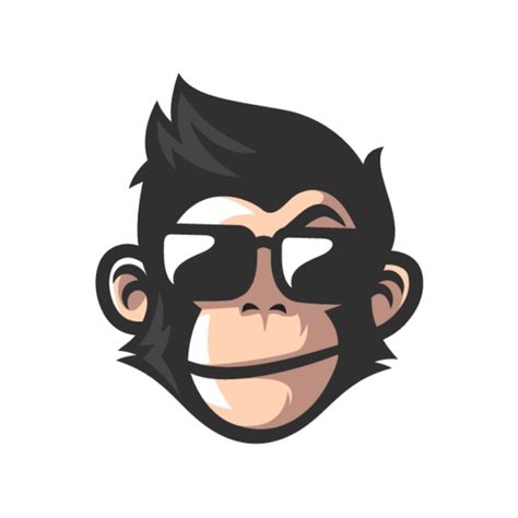 Image result for Monkey Coding Programming