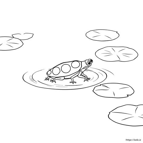 Water Bug Coloring Page