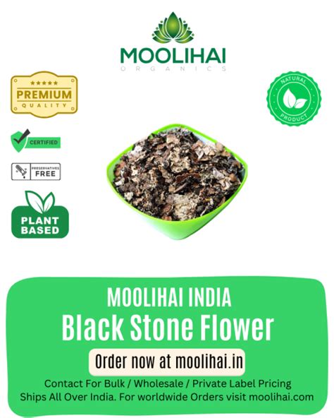 Black Stone Flower / Dagad Pool / Kalpasi(Marapasi) / Pathar ka phool ...