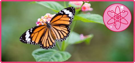 Science Homework Help 的图像结果