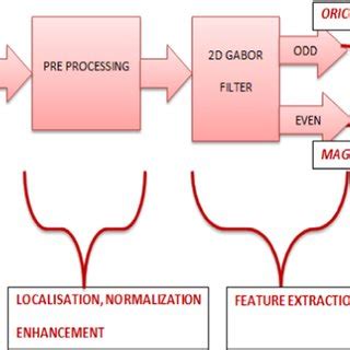 Image result for Code for C3D Algorithm and Extract the Features