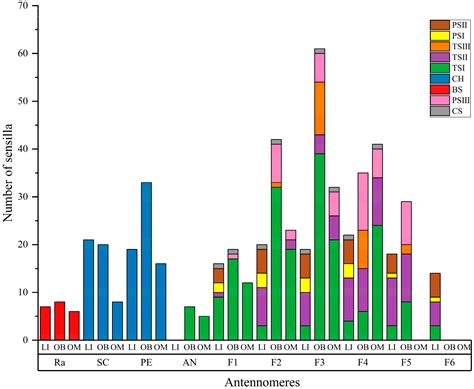 Comparison of Morphological Characteristics of Antennae and Antennal ...