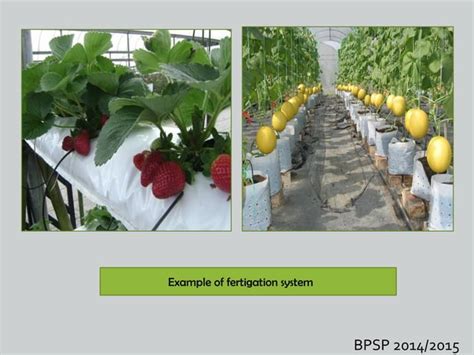 Image result for Fertigation System Diagram