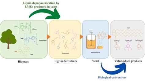 Processes | Special Issue : Application of Advanced Synthetic ...
