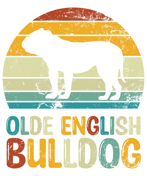 divertido olde inglés bulldog vintage retro puesta de sol silueta ...