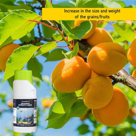 Seaweed Extract Liquid - 250 ml – TrustBasket