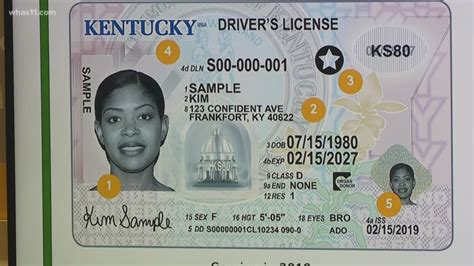 Kentucky unveils new driver license options | whas11.com