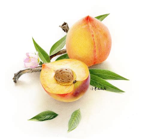 彩铅手绘 的图像结果