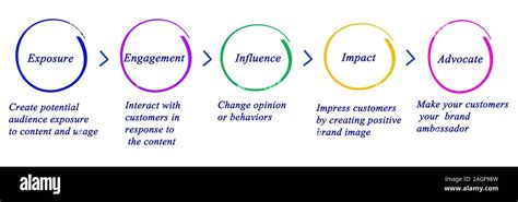 Diagram About Marketing 的图像结果