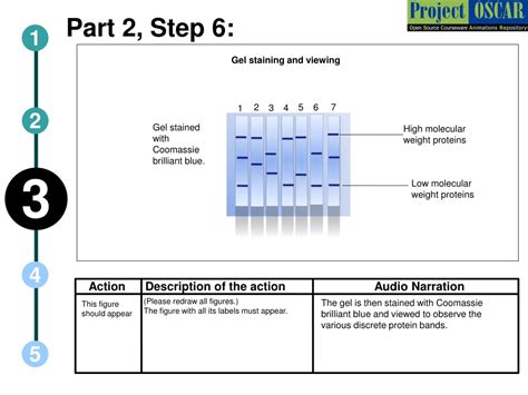 Image result for Protein Separation Process
