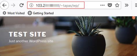 To access website without using domain name in CWP - Diadem ...