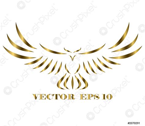 Image result for Hawk Fly Logo