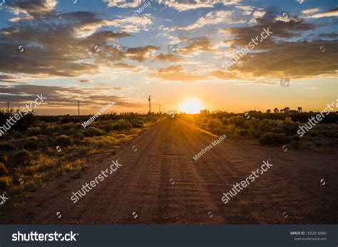 1,216 New Mexico Sunshine Images, Stock Photos, 3D objects, & Vectors ...