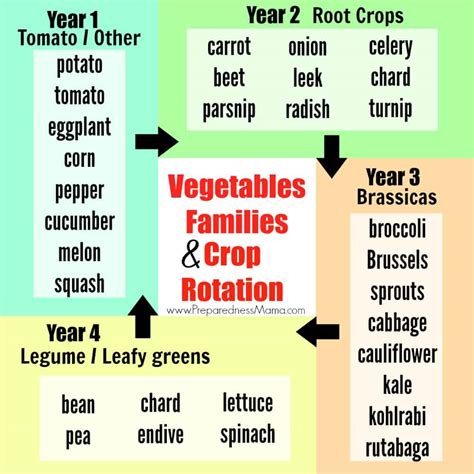 Image result for Crop Rotation