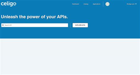 Image result for Apim Dev Portal Tutorial