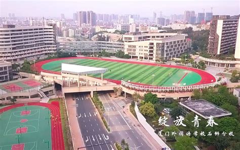 2019年深圳石厦学校小学升初中攻略_深圳学而思1对1