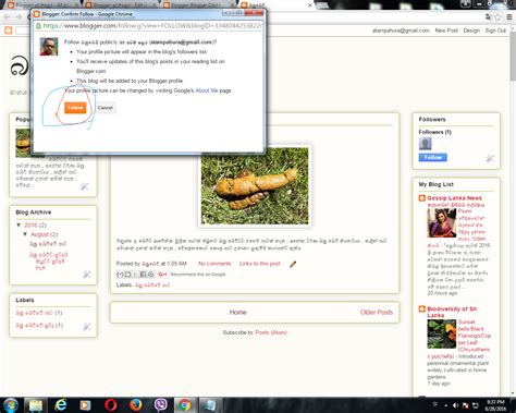 How to Make Blog Sinhala 的图像结果