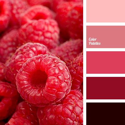 Image result for Dark Raspberry Color Chart