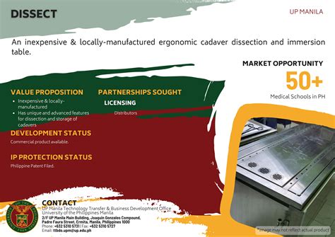 Image result for Dissect