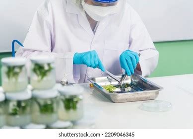 Biotech Process 的图像结果