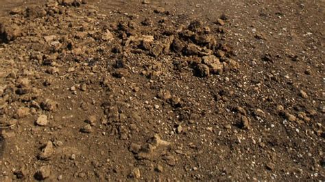 Ground Loop Currents 的图像结果