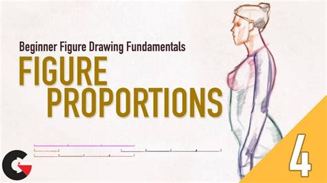 Beginner Figure Drawing Fundamentals - Figure Proportions - CGArchives